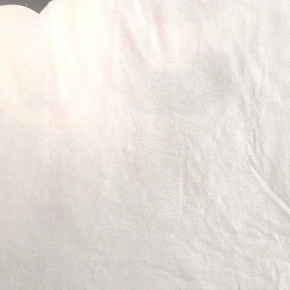 Vintage Biggie Graphic Tee - Picture 5 of 6